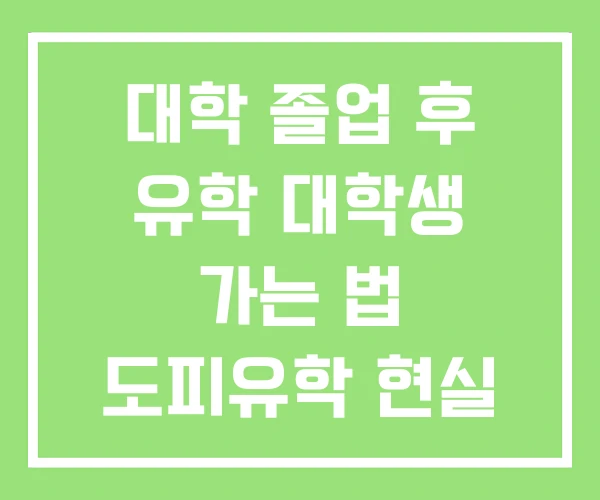 대학 졸업 후 유학 대학생 가는 법 도피유학 현실