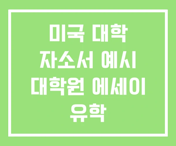 미국 대학 자소서 예시 대학원 에세이 유학 미국 대학 자소서 예시 대학원 에세이 유학
