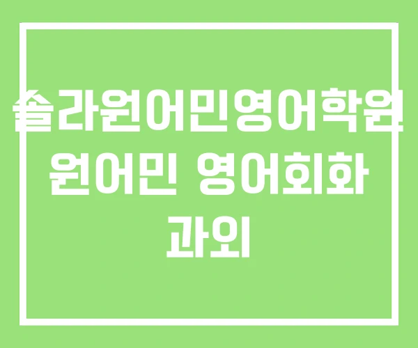 솔라원어민영어학원 원어민 영어회화 과외