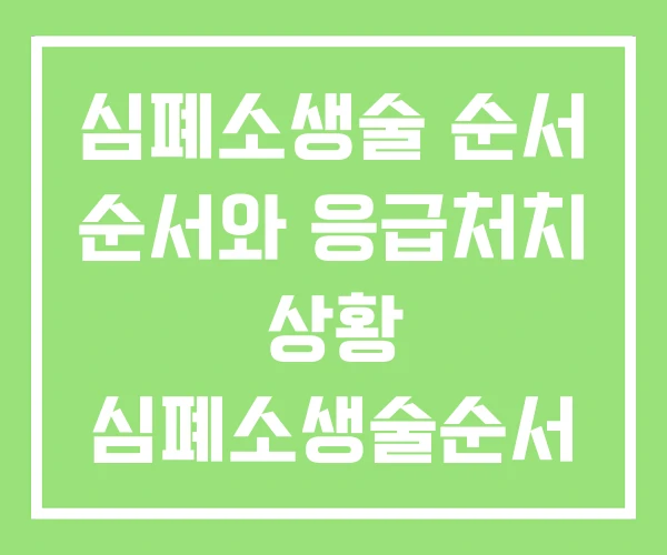 심폐소생술 순서 순서와 응급처치 상황 심폐소생술순서 심폐소생술 순서 순서와 응급처치 상황 심폐소생술순서