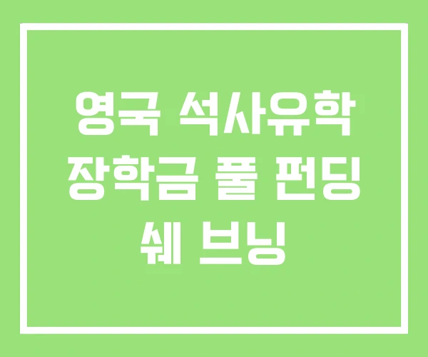 영국 석사유학 장학금 풀 펀딩 쉐 브닝 영국 석사유학 장학금 풀 펀딩 쉐 브닝
