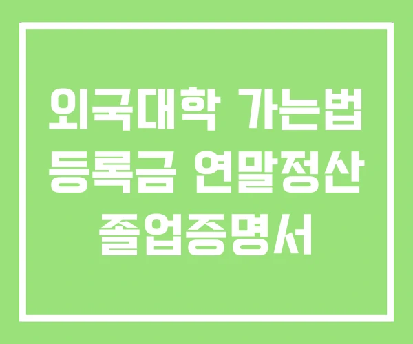 외국대학 가는법 등록금 연말정산 졸업증명서 외국대학 가는법 등록금 연말정산 졸업증명서
