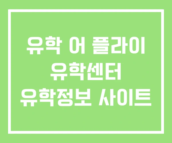 유학 어 플라이 유학센터 유학정보 사이트