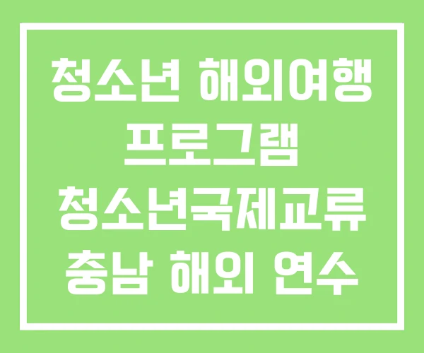 청소년 해외여행 프로그램 청소년국제교류 충남 해외 연수 청소년 해외여행 프로그램 청소년국제교류 충남 해외 연수