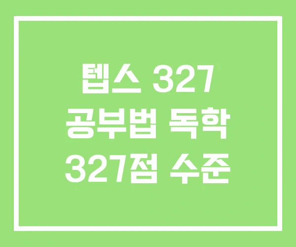 텝스 327 공부법 독학 327점 수준 텝스 327 공부법 독학 327점 수준