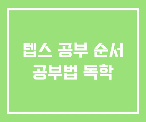 텝스 공부 순서 공부법 독학 텝스 공부 순서 공부법 독학