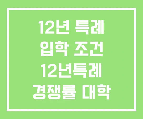 12년 특례 입학 조건 12년특례 경쟁률 대학