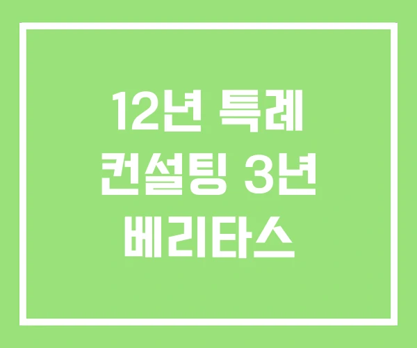 12년 특례 컨설팅 3년 베리타스