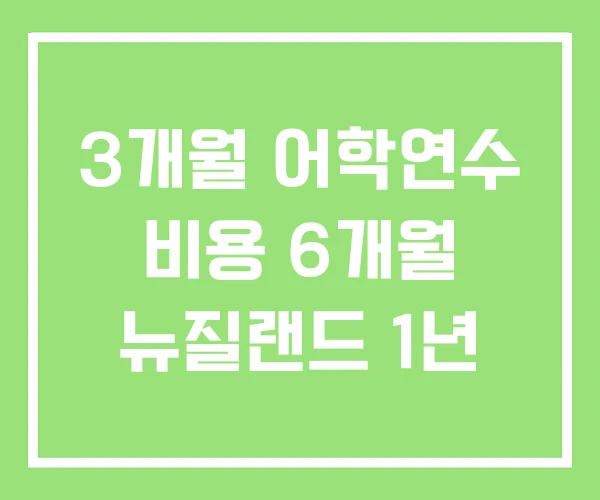 3개월 어학연수 비용 6개월 뉴질랜드 1년