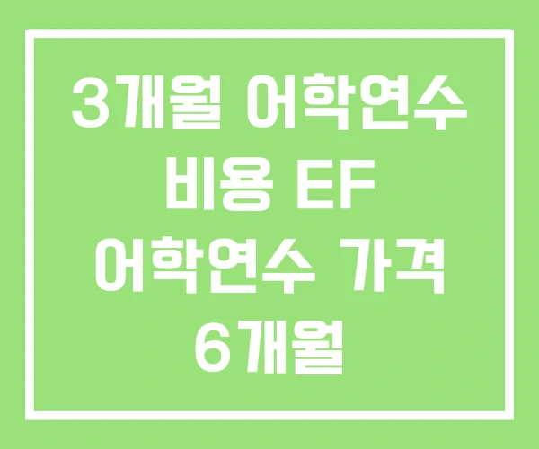 3개월 어학연수 비용 EF 어학연수 가격 6개월