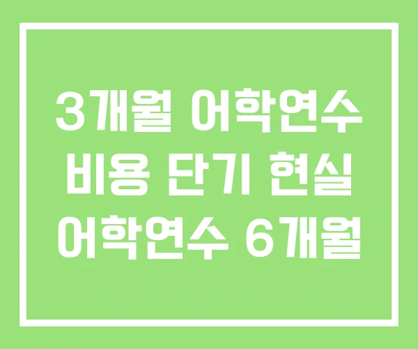 3개월 어학연수 비용 단기 현실 어학연수 6개월