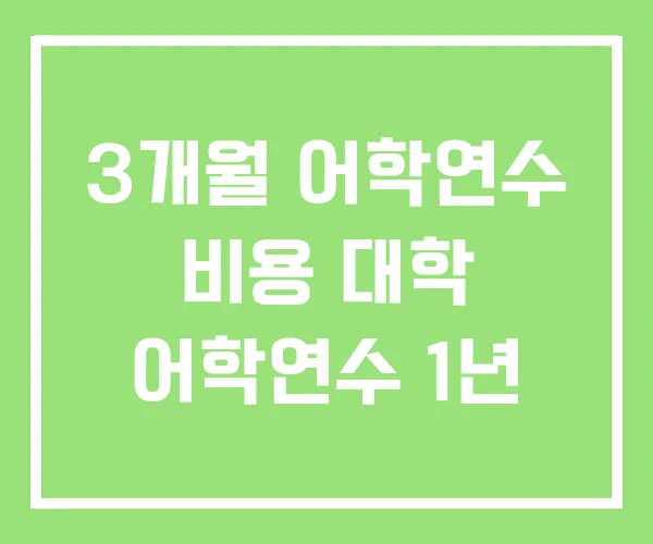 3개월 어학연수 비용 대학 어학연수 1년