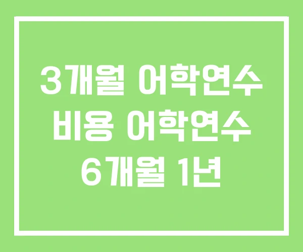 3개월 어학연수 비용 어학연수 6개월 1년 3개월 어학연수 비용 어학연수 6개월 1년
