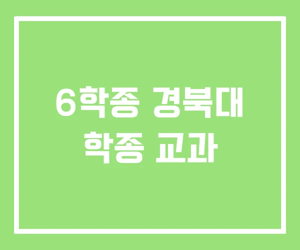 6학종 경북대 학종 교과 6학종 경북대 학종 교과