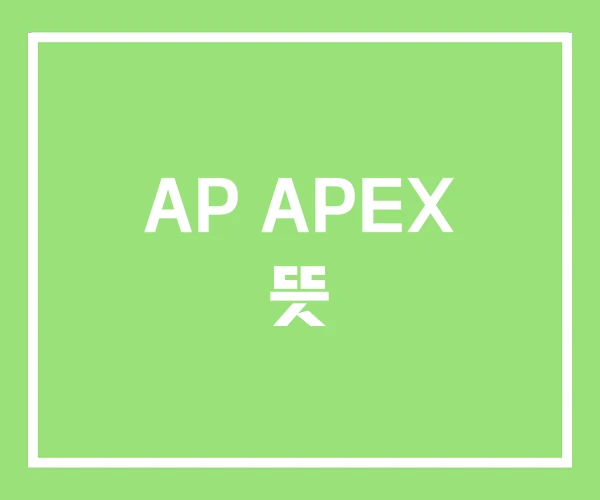 AP APEX 뜻 AP APEX 뜻
