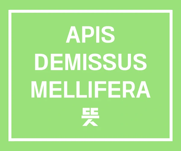 APIS DEMISSUS MELLIFERA 뜻 APIS DEMISSUS MELLIFERA 뜻