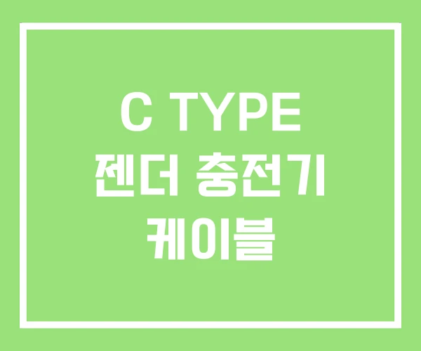 C TYPE 젠더 충전기 케이블