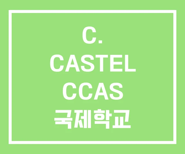 C. CASTEL CCAS 국제학교