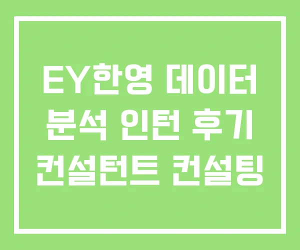 EY한영 데이터 분석 인턴 후기 컨설턴트 컨설팅