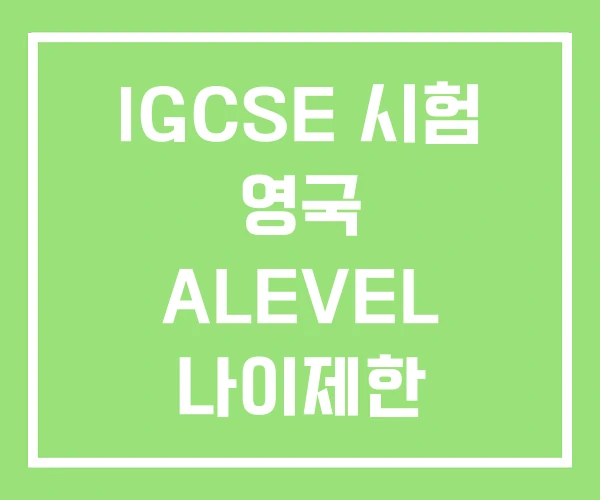 IGCSE 시험 영국 ALEVEL 나이제한 IGCSE 시험 영국 ALEVEL 나이제한