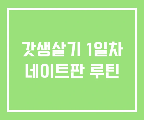 갓생살기 1일차 네이트판 루틴 갓생살기 1일차 네이트판 루틴