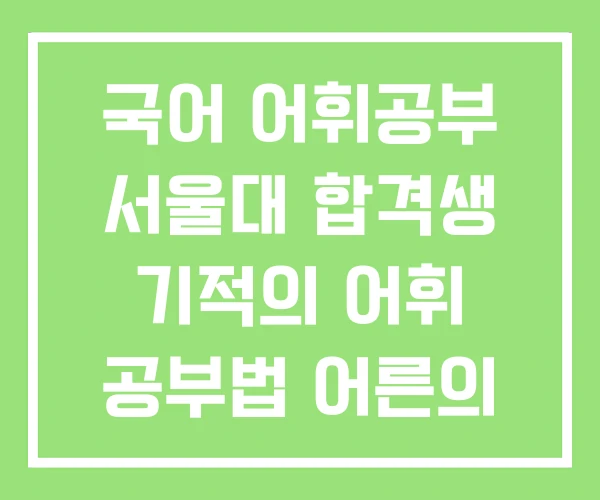 국어 어휘공부 서울대 합격생 기적의 어휘 공부법 어른의