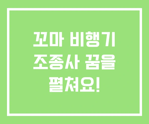 꼬마 비행기 조종사 꿈을 펼쳐요! 꼬마 비행기 조종사 꿈을 펼쳐요!