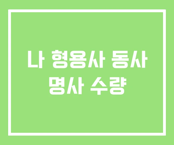 나 형용사 동사 명사 수량 나 형용사 동사 명사 수량