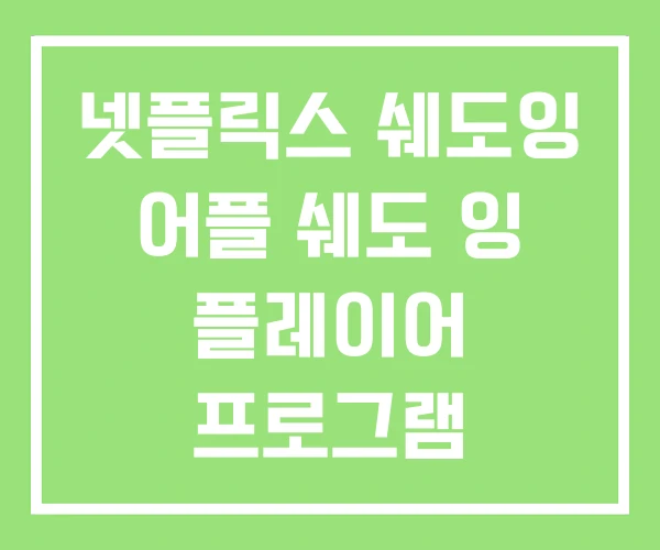 넷플릭스 쉐도잉 어플 쉐도 잉 플레이어 프로그램