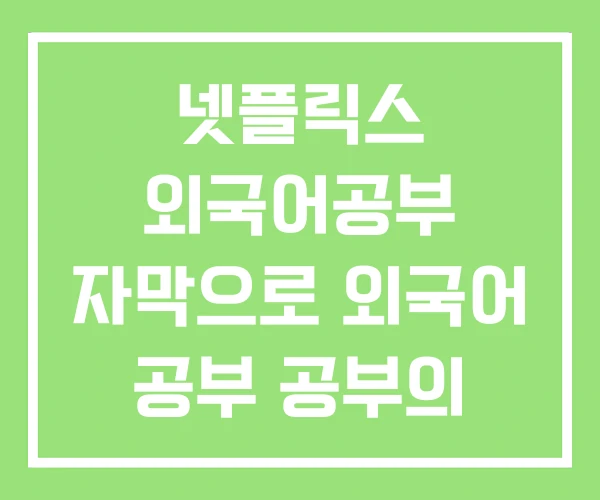 넷플릭스 외국어공부 자막으로 외국어 공부 공부의 감각 넷플릭스 외국어공부 자막으로 외국어 공부 공부의 감각