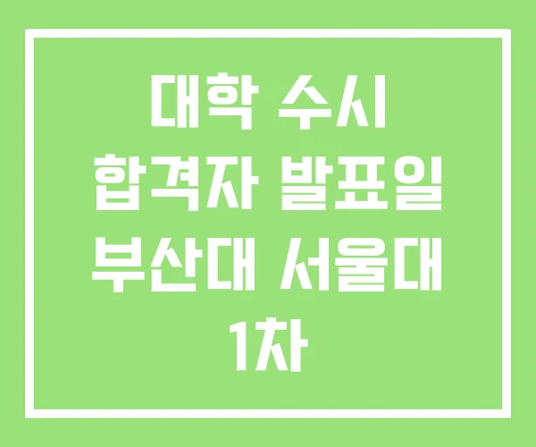 대학 수시 합격자 발표일 부산대 서울대 1차 대학 수시 합격자 발표일 부산대 서울대 1차