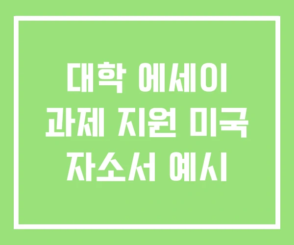 대학 에세이 과제 지원 미국 자소서 예시