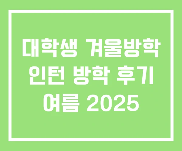 대학생 겨울방학 인턴 방학 후기 여름 2025 대학생 겨울방학 인턴 방학 후기 여름 2025