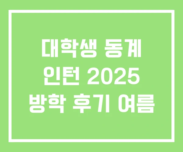 대학생 동계 인턴 2025 방학 후기 여름 대학생 동계 인턴 2025 방학 후기 여름