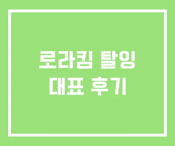 로라킴 탈잉 대표 후기 로라킴 탈잉 대표 후기