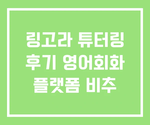 링고라 튜터링 후기 영어회화 플랫폼 비추 링고라 튜터링 후기 영어회화 플랫폼 비추