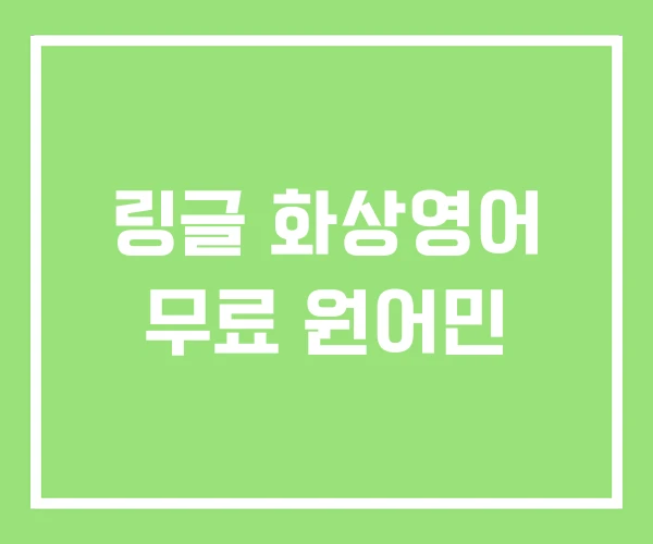 링글 화상영어 무료 원어민
