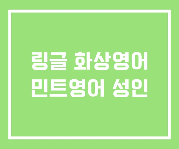 링글 화상영어 민트영어 성인 링글 화상영어 민트영어 성인