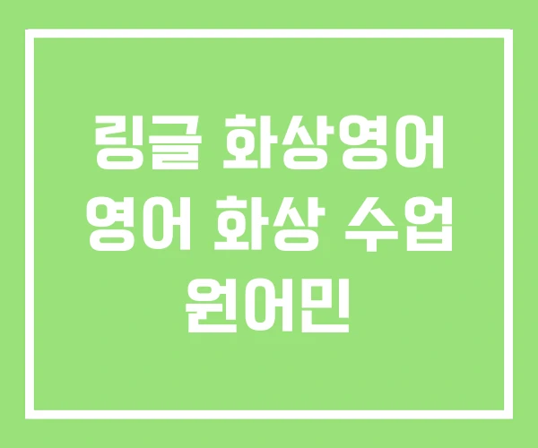 링글 화상영어 영어 화상 수업 원어민