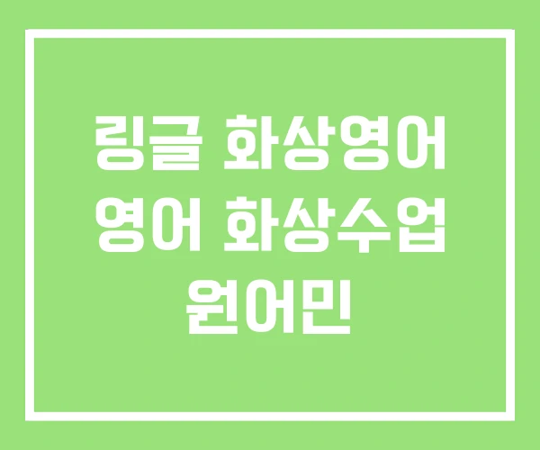링글 화상영어 영어 화상수업 원어민
