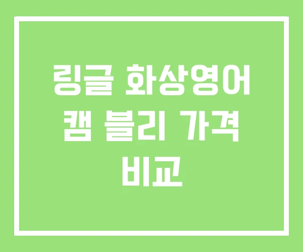 링글 화상영어 캠 블리 가격 비교 링글 화상영어 캠 블리 가격 비교