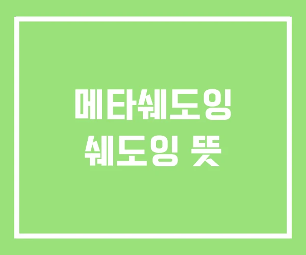 메타쉐도잉 쉐도잉 뜻 메타쉐도잉 쉐도잉 뜻