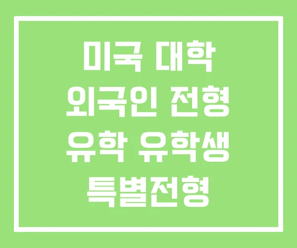 미국 대학 외국인 전형 유학 유학생 특별전형 미국 대학 외국인 전형 유학 유학생 특별전형