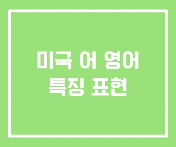미국 어 영어 특징 표현 미국 어 영어 특징 표현
