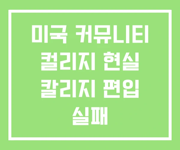 미국 커뮤니티 컬리지 현실 칼리지 편입 실패 미국 커뮤니티 컬리지 현실 칼리지 편입 실패