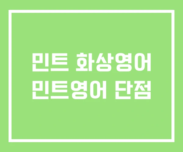 민트 화상영어 민트영어 단점