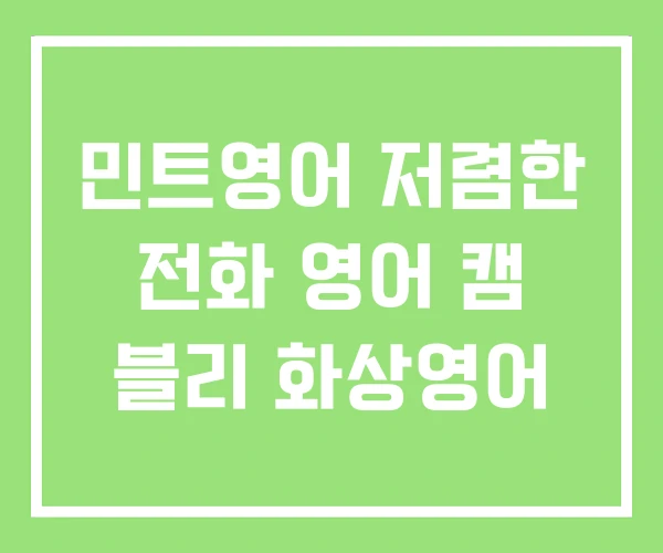 민트영어 저렴한 전화 영어 캠 블리 화상영어 민트영어 저렴한 전화 영어 캠 블리 화상영어