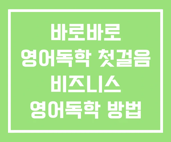 바로바로 영어독학 첫걸음 비즈니스 영어독학 방법 바로바로 영어독학 첫걸음 비즈니스 영어독학 방법