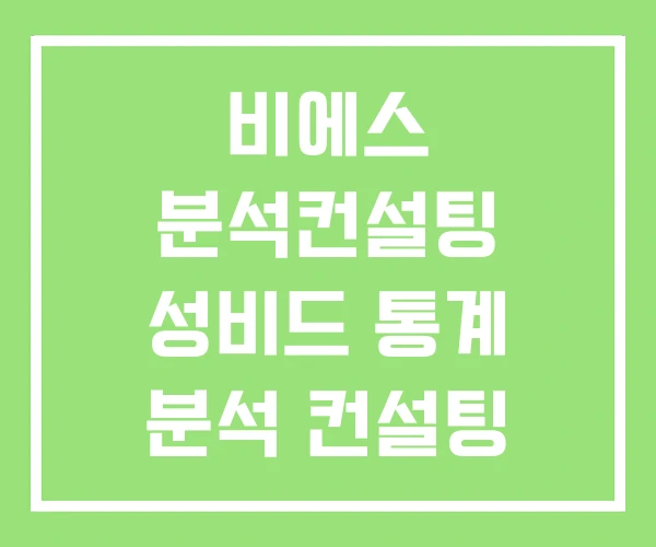 비에스 분석컨설팅 성비드 통계 분석 컨설팅 비에스 분석컨설팅 성비드 통계 분석 컨설팅