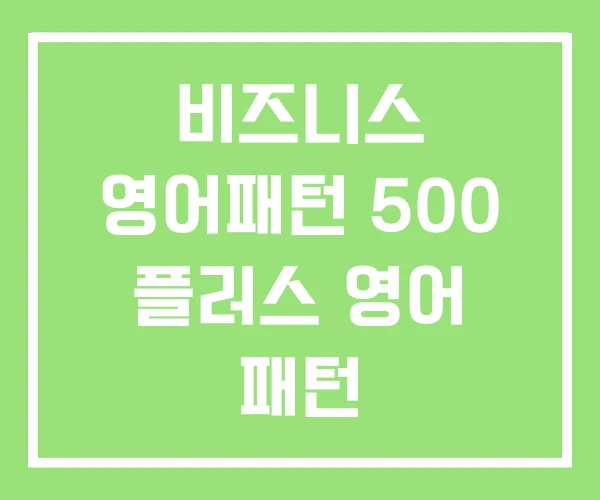비즈니스 영어패턴 500 플러스 영어 패턴
